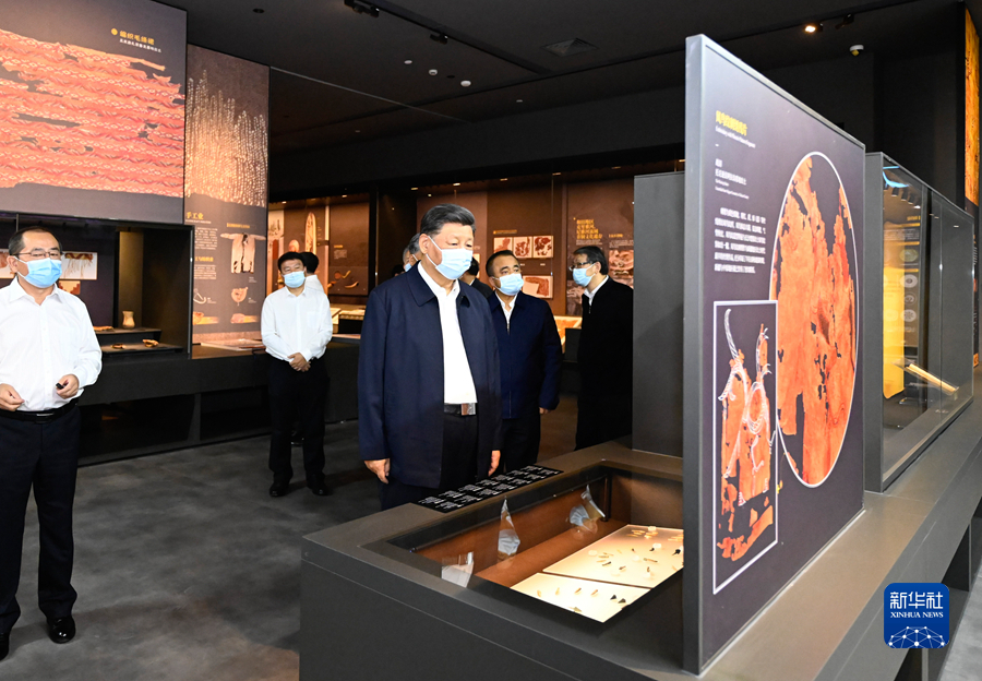 1658373332673789.jpg x4.JPG